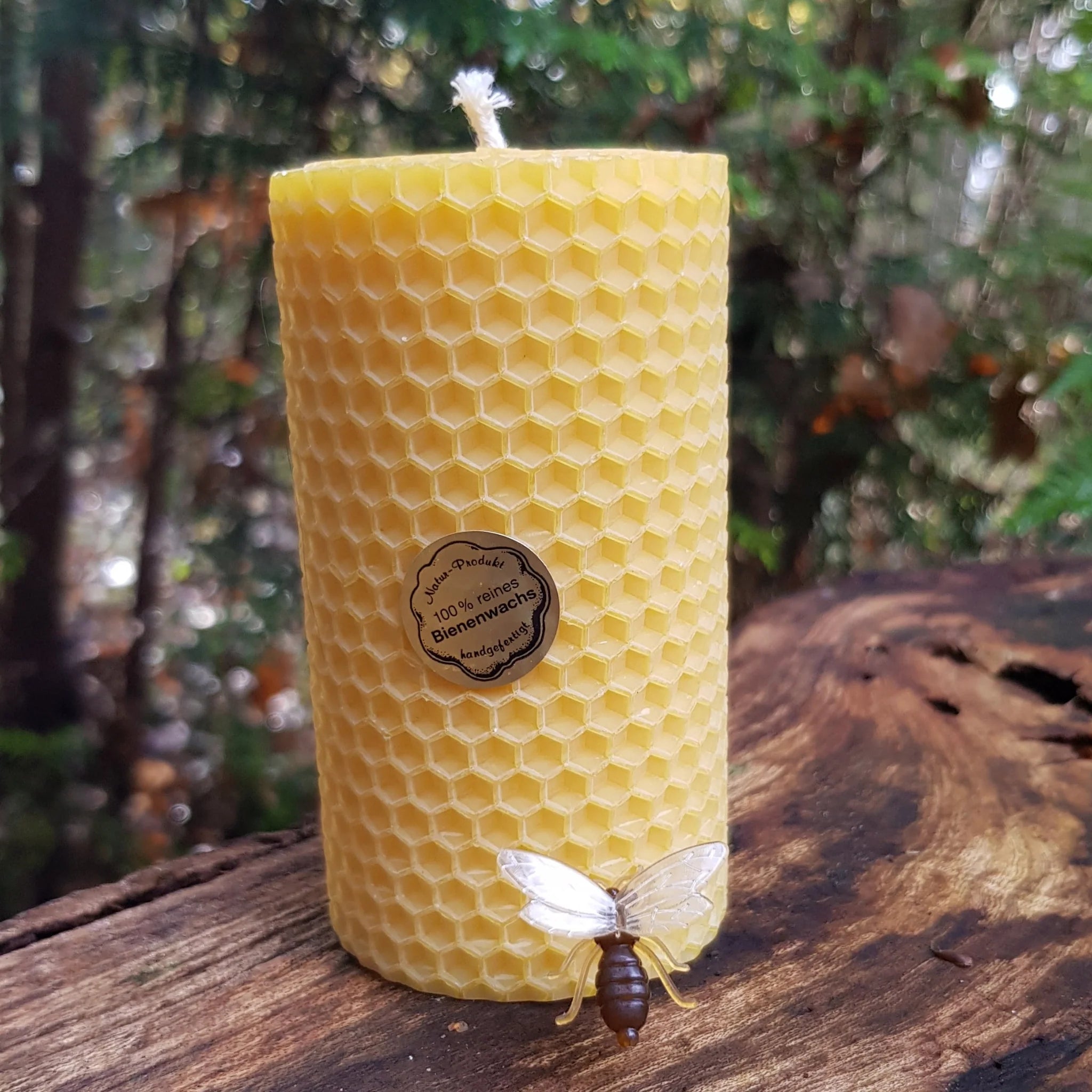 Hand-Rolled Beeswax Candles | 100% Natural & Aromatic