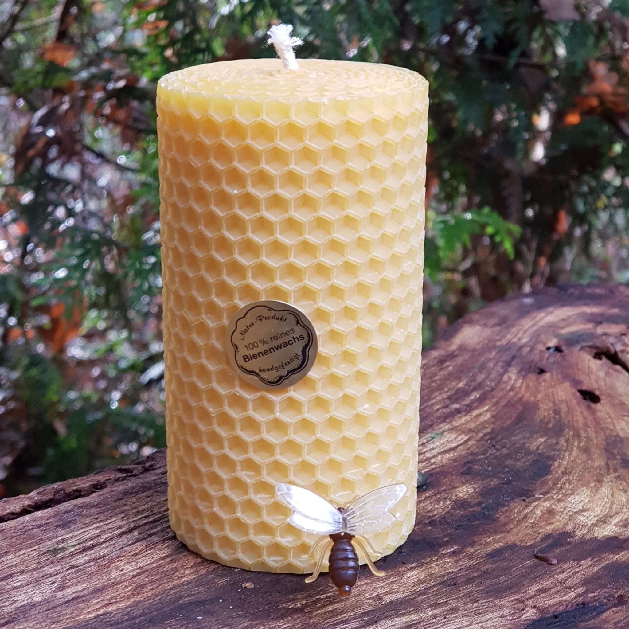 Hand-Rolled Beeswax Candles | 100% Natural & Aromatic