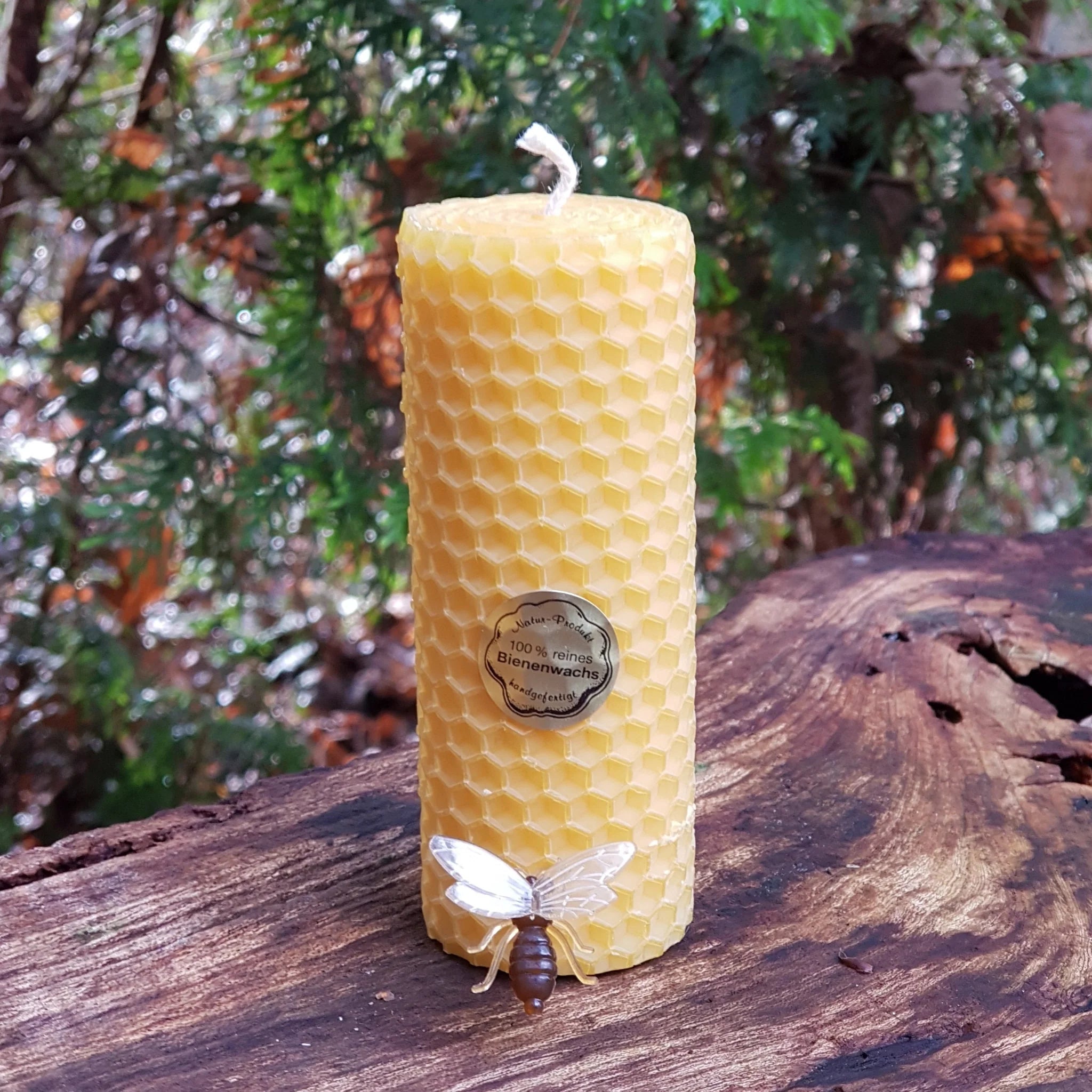 Hand-Rolled Beeswax Candles | 100% Natural & Aromatic