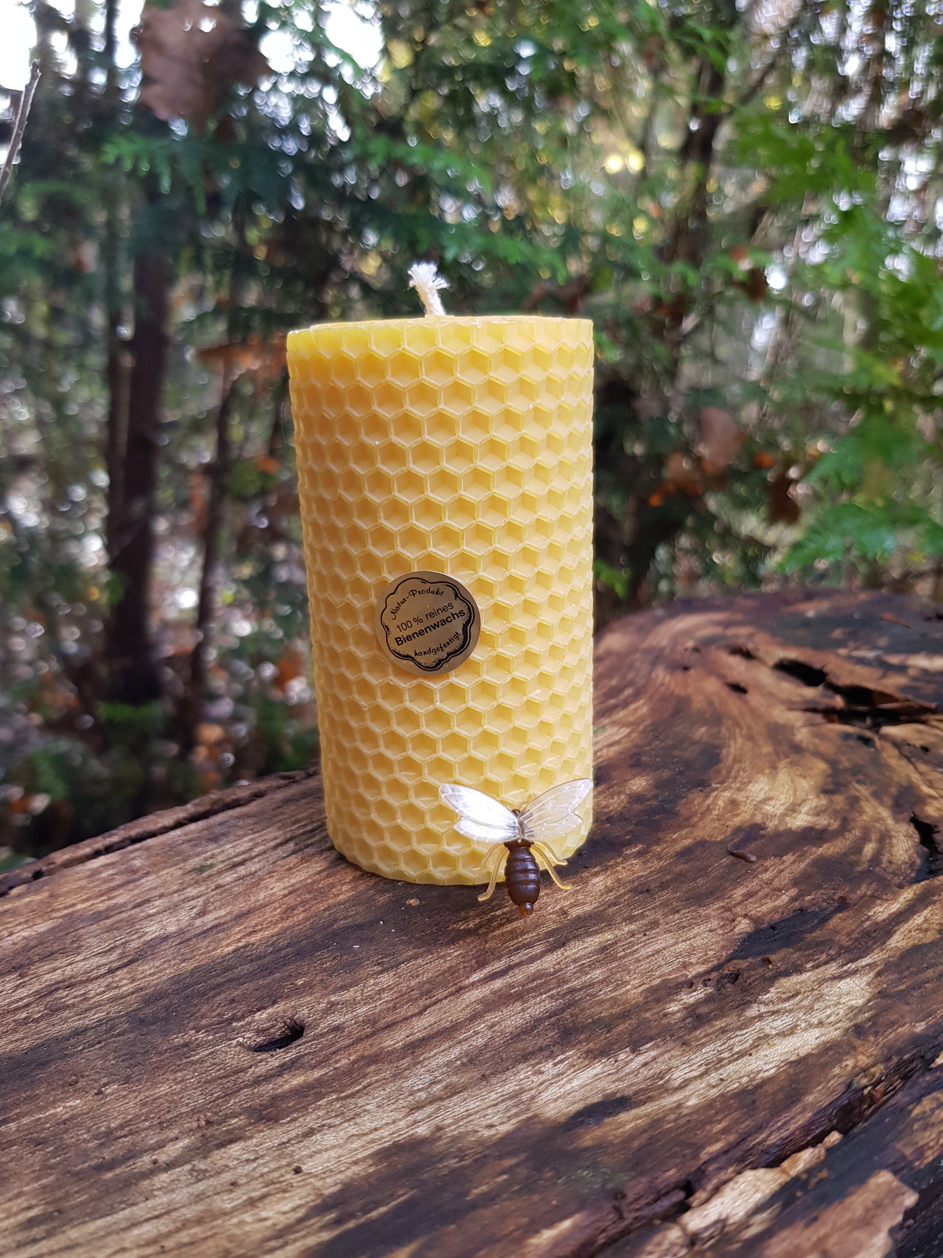 Hand-Rolled Beeswax Candles | 100% Natural & Aromatic