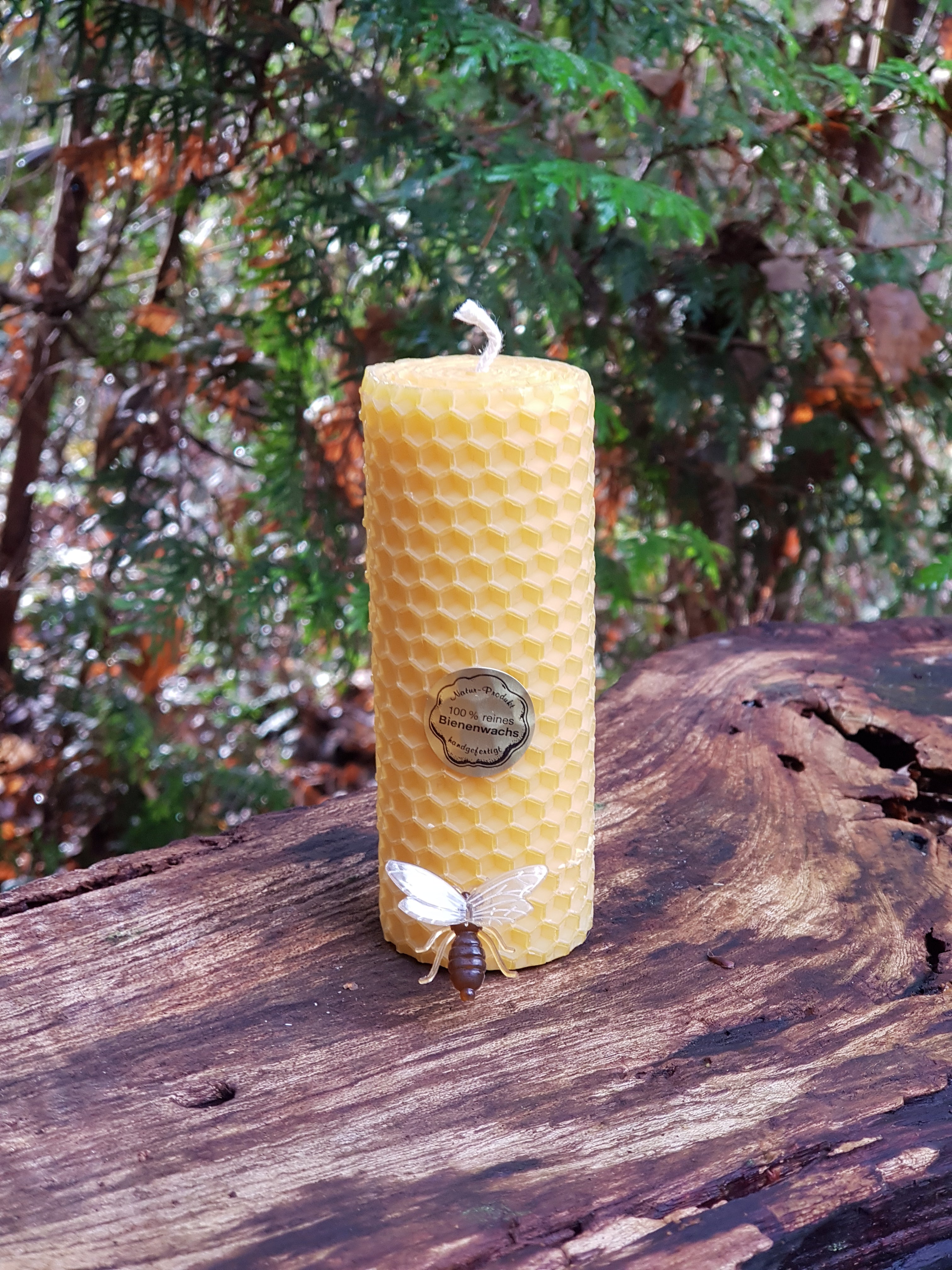 Hand-Rolled Beeswax Candles | 100% Natural & Aromatic