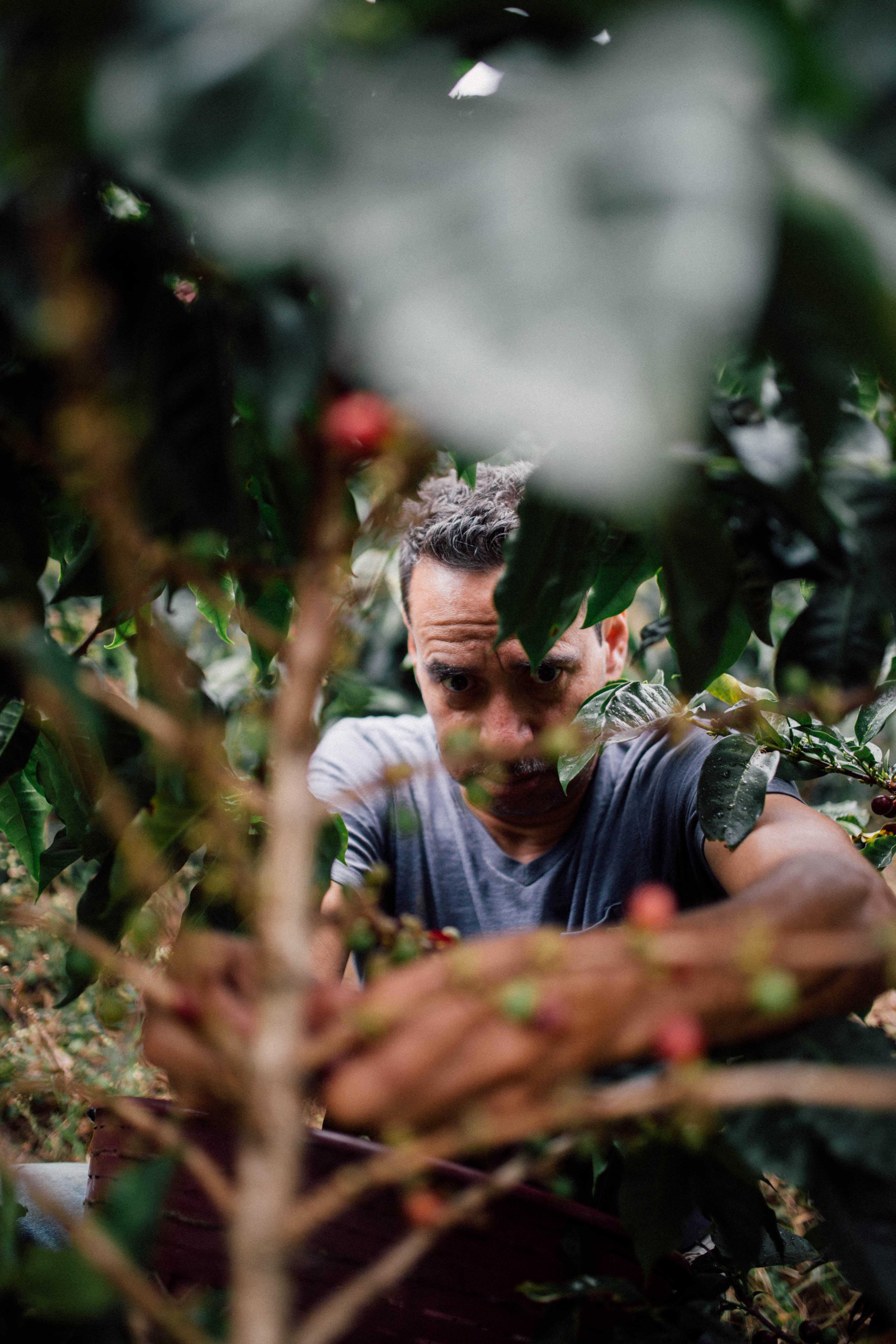 Filter Coffee - Jorge Vásquez - Catuai Natural