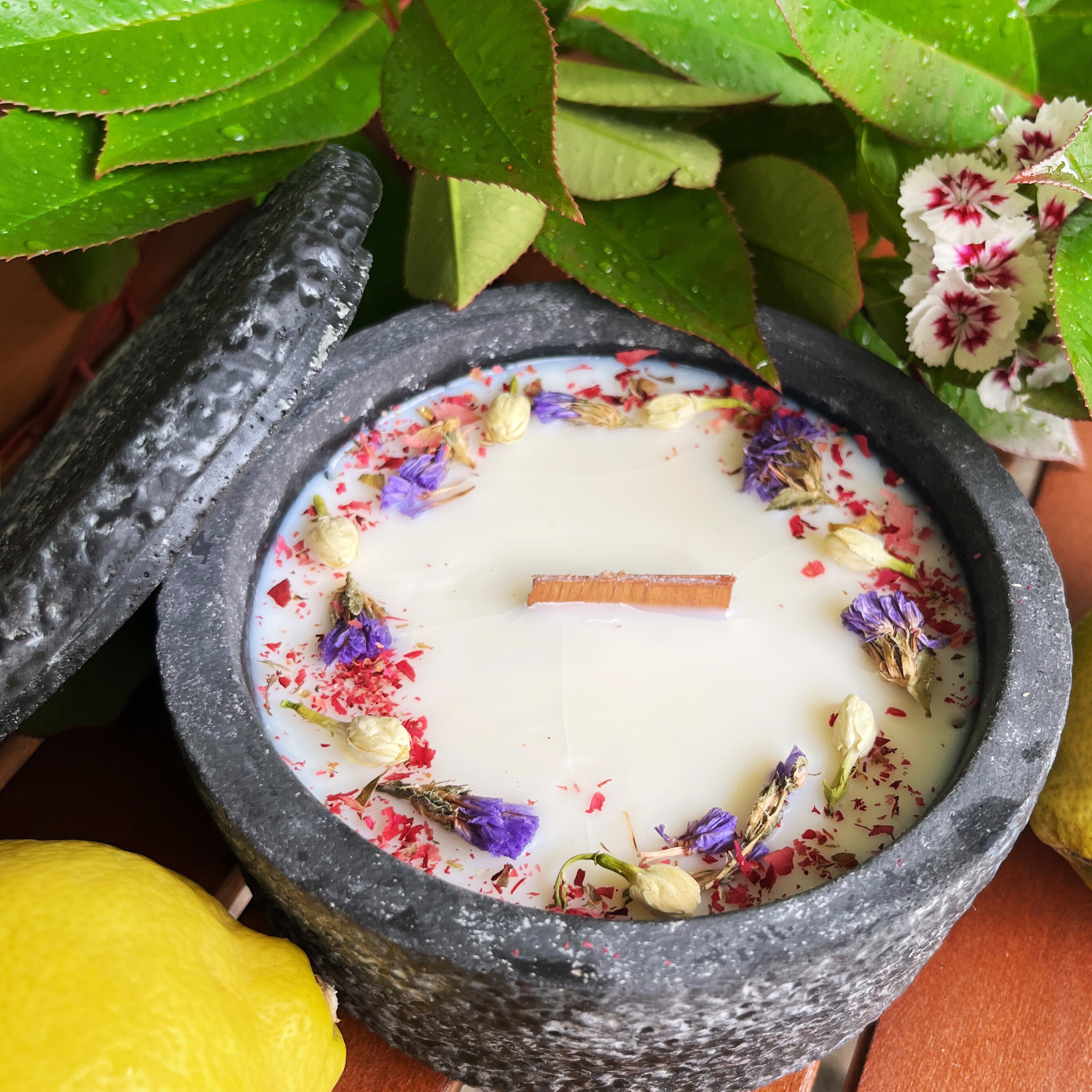 Citronella Sommerkerze im Betongefäß