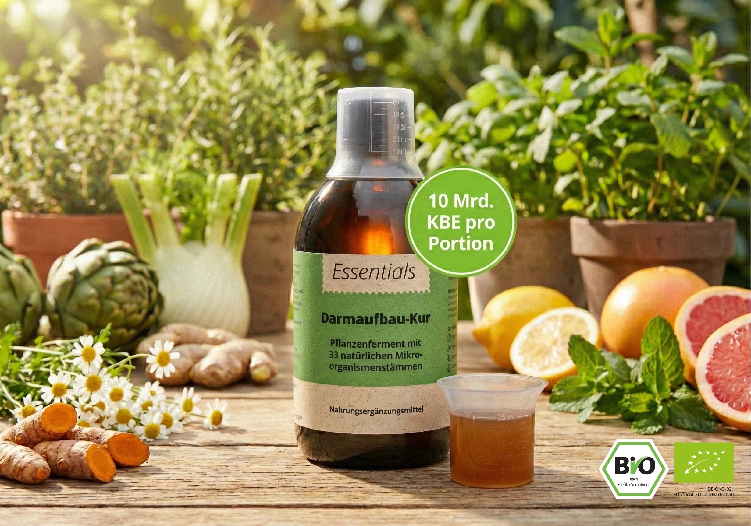 Darmaufbau-Kur Bio Ferment