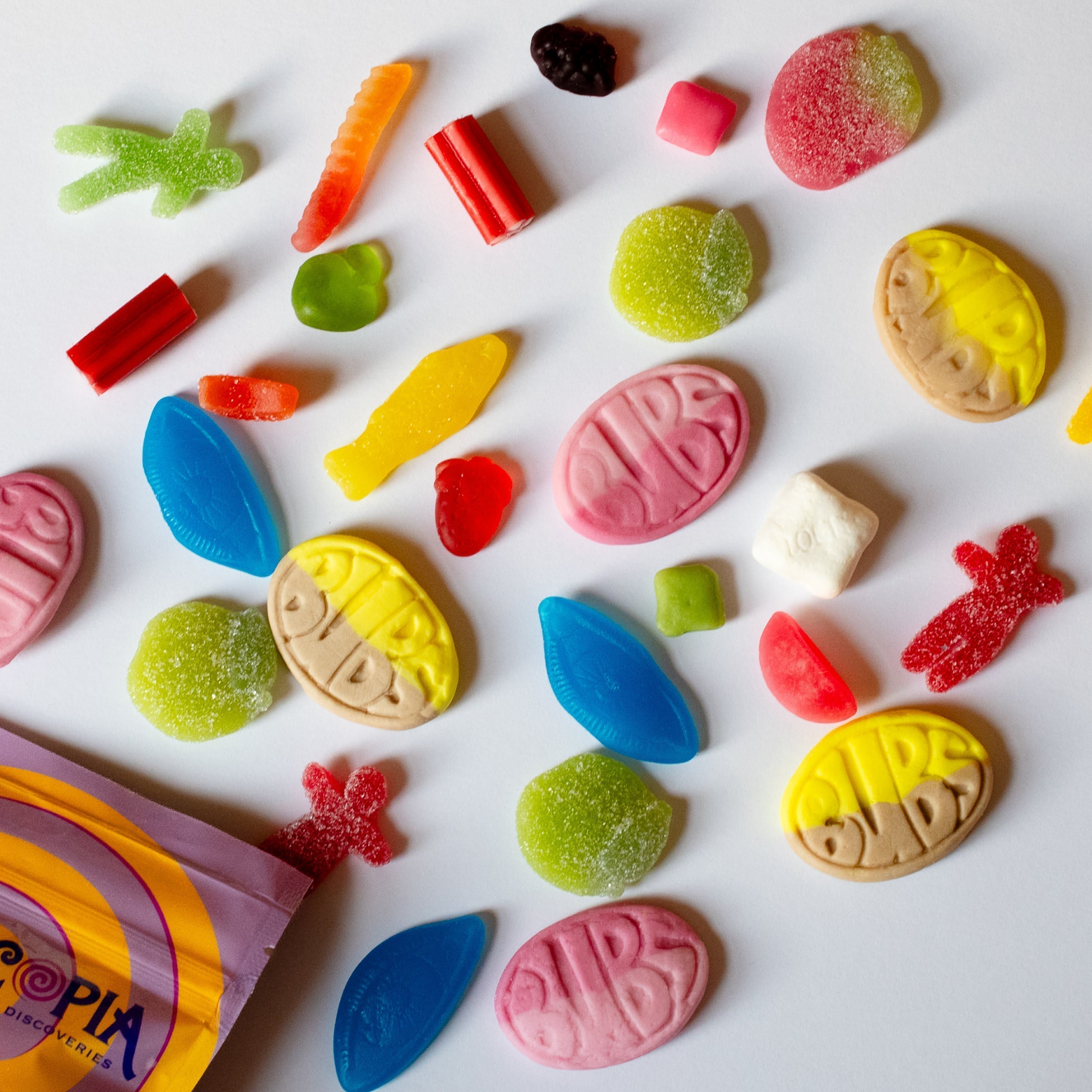 Table Tennis Set Custom