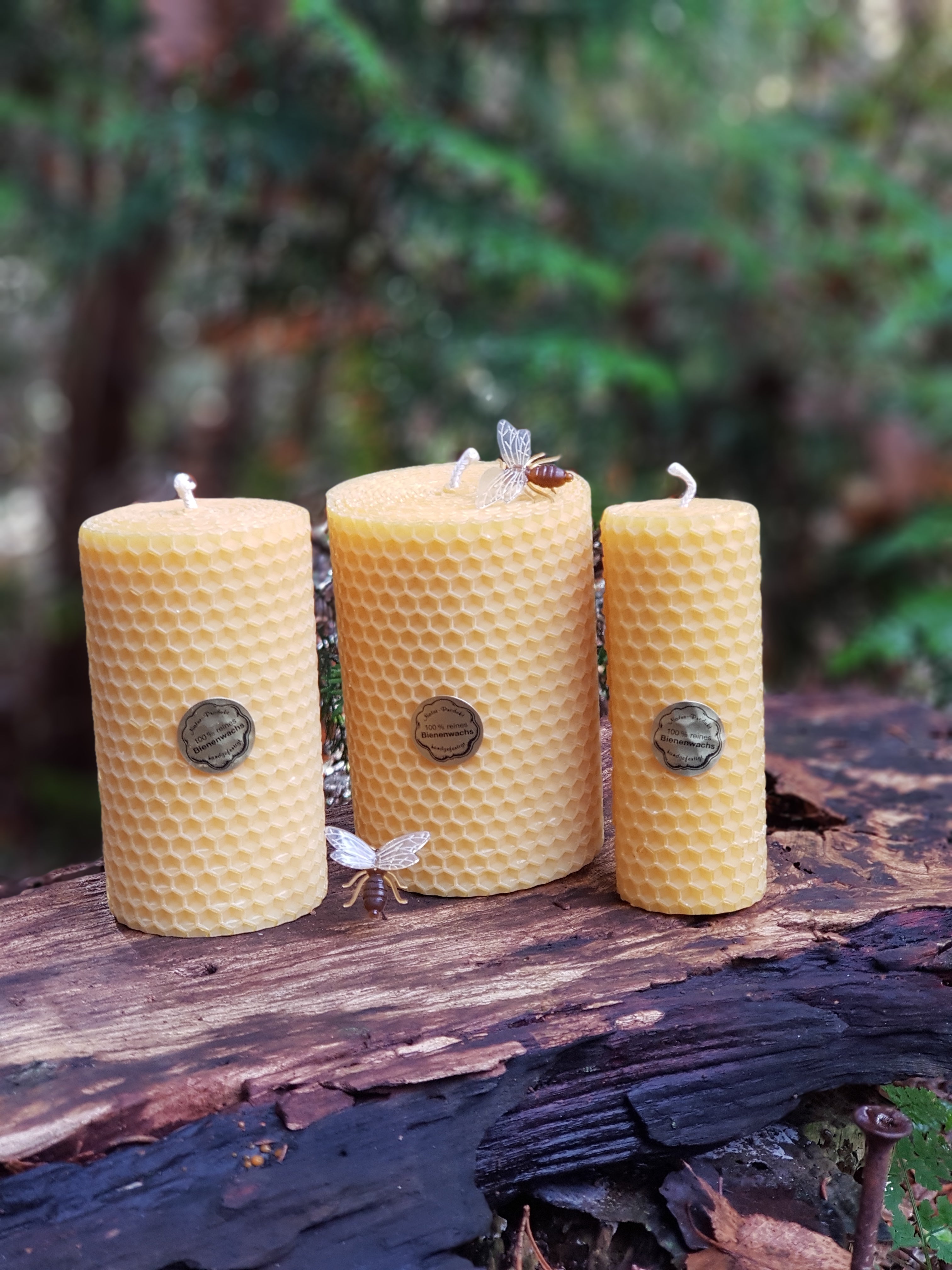 Hand-Rolled Beeswax Candles | 100% Natural & Aromatic