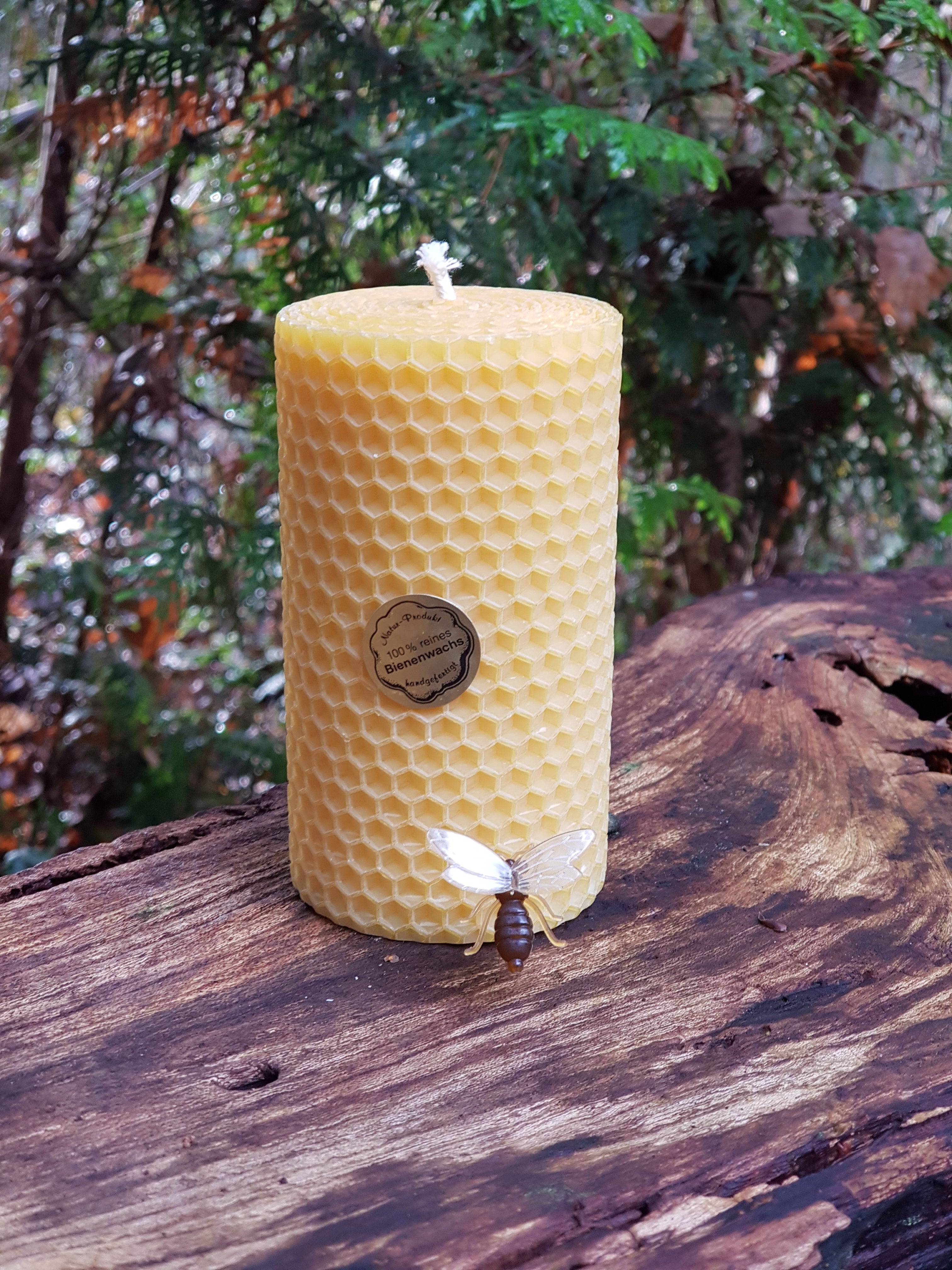 Hand-Rolled Beeswax Candles | 100% Natural & Aromatic