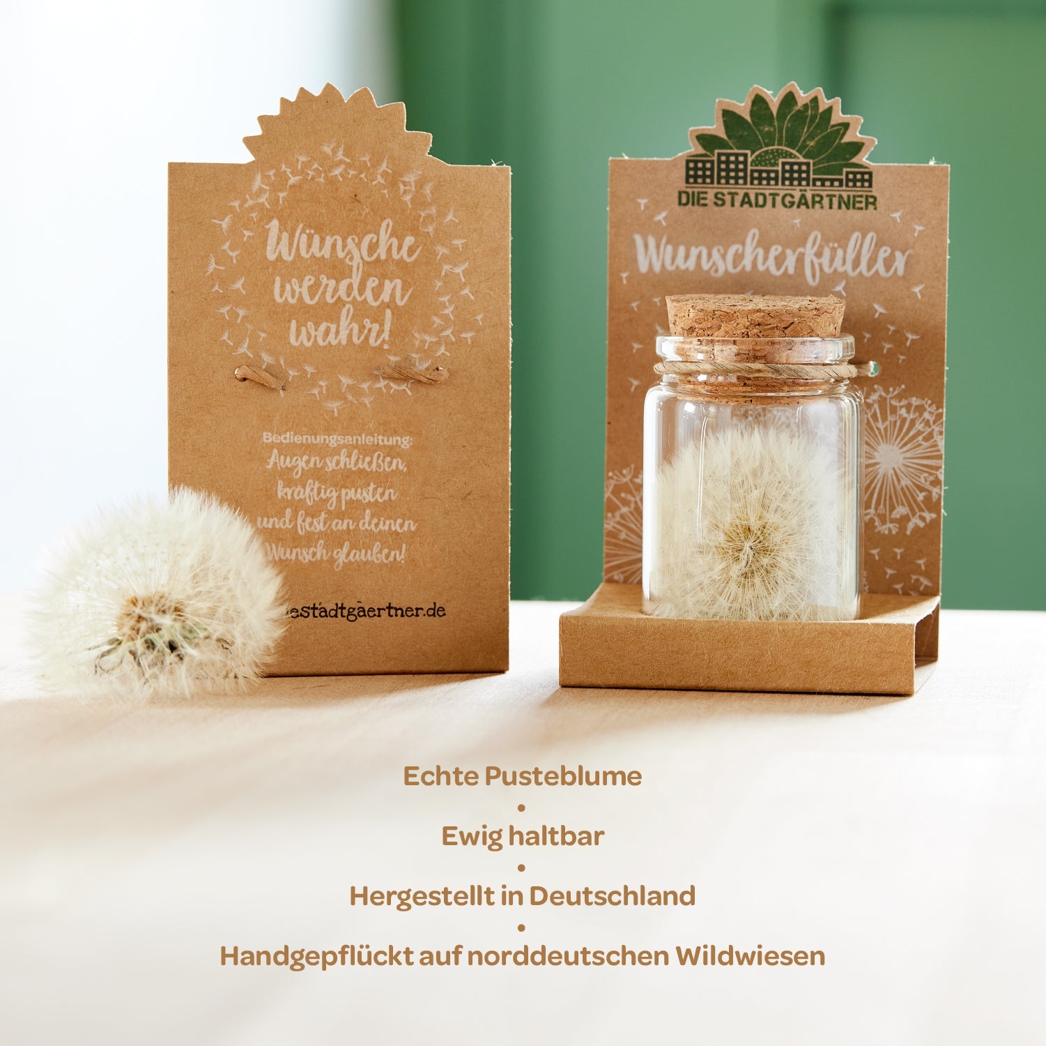 Großer Wunscherfüller – Pusteblume im Glas