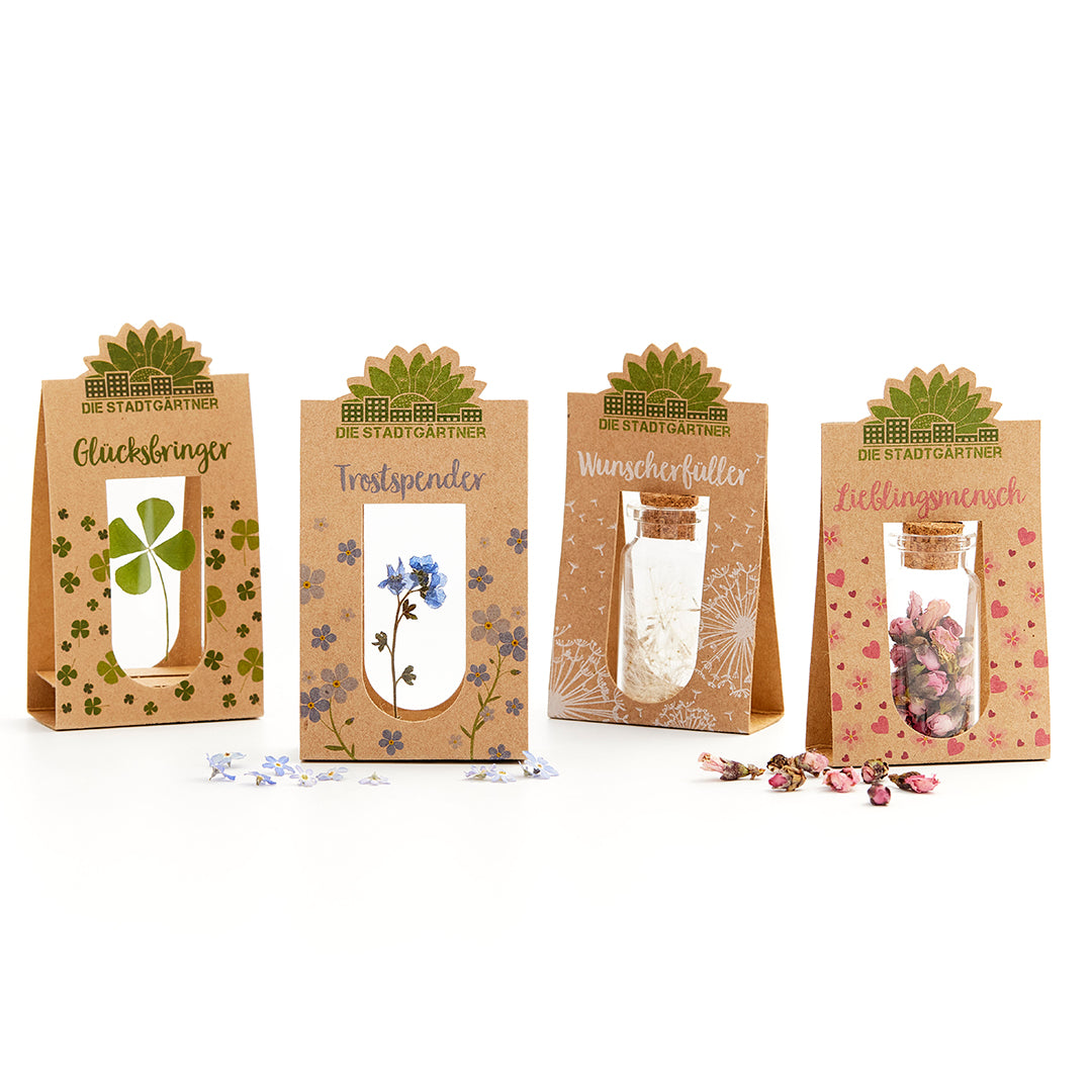 Set of 4 Emotion-Boosters