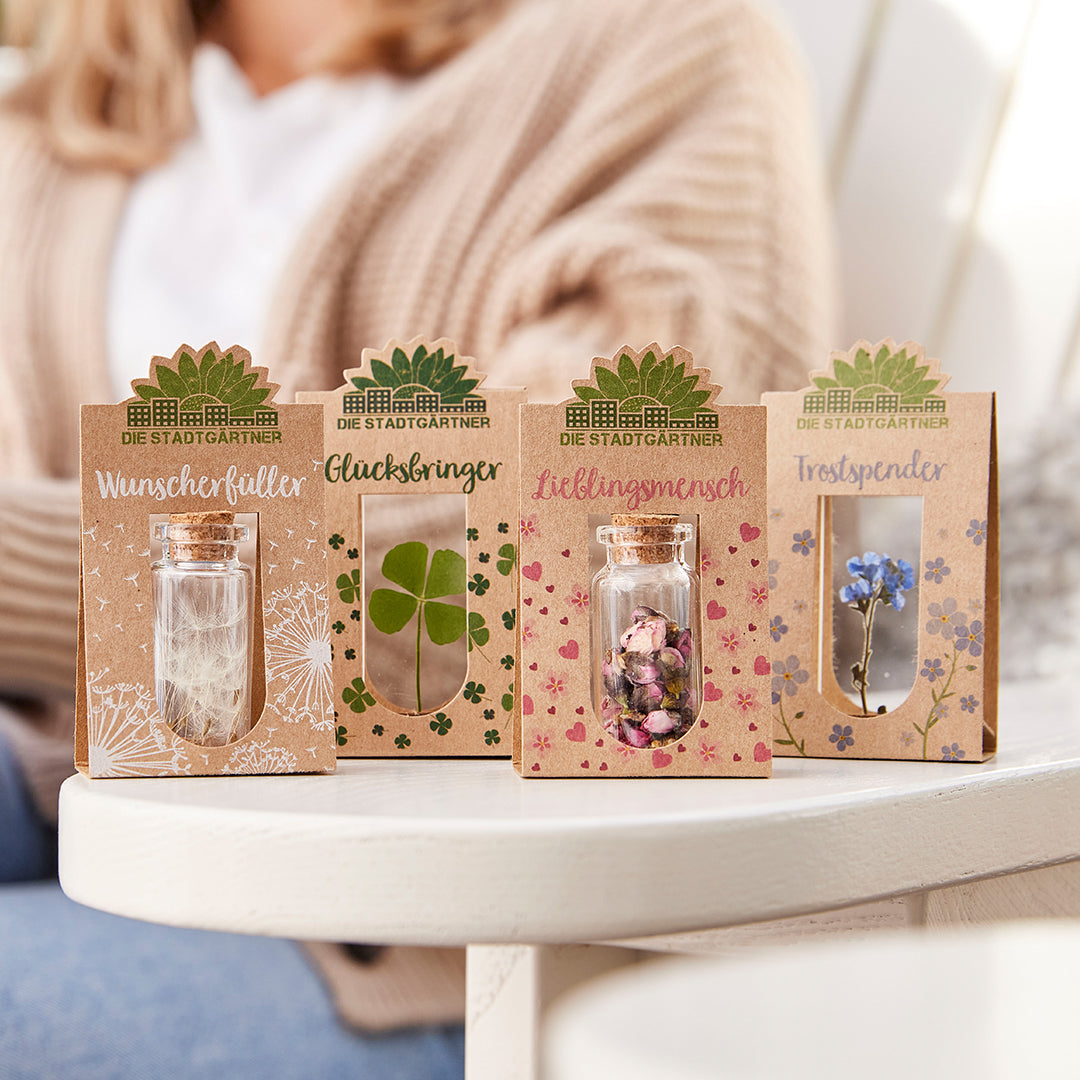 Set of 4 Emotion-Boosters