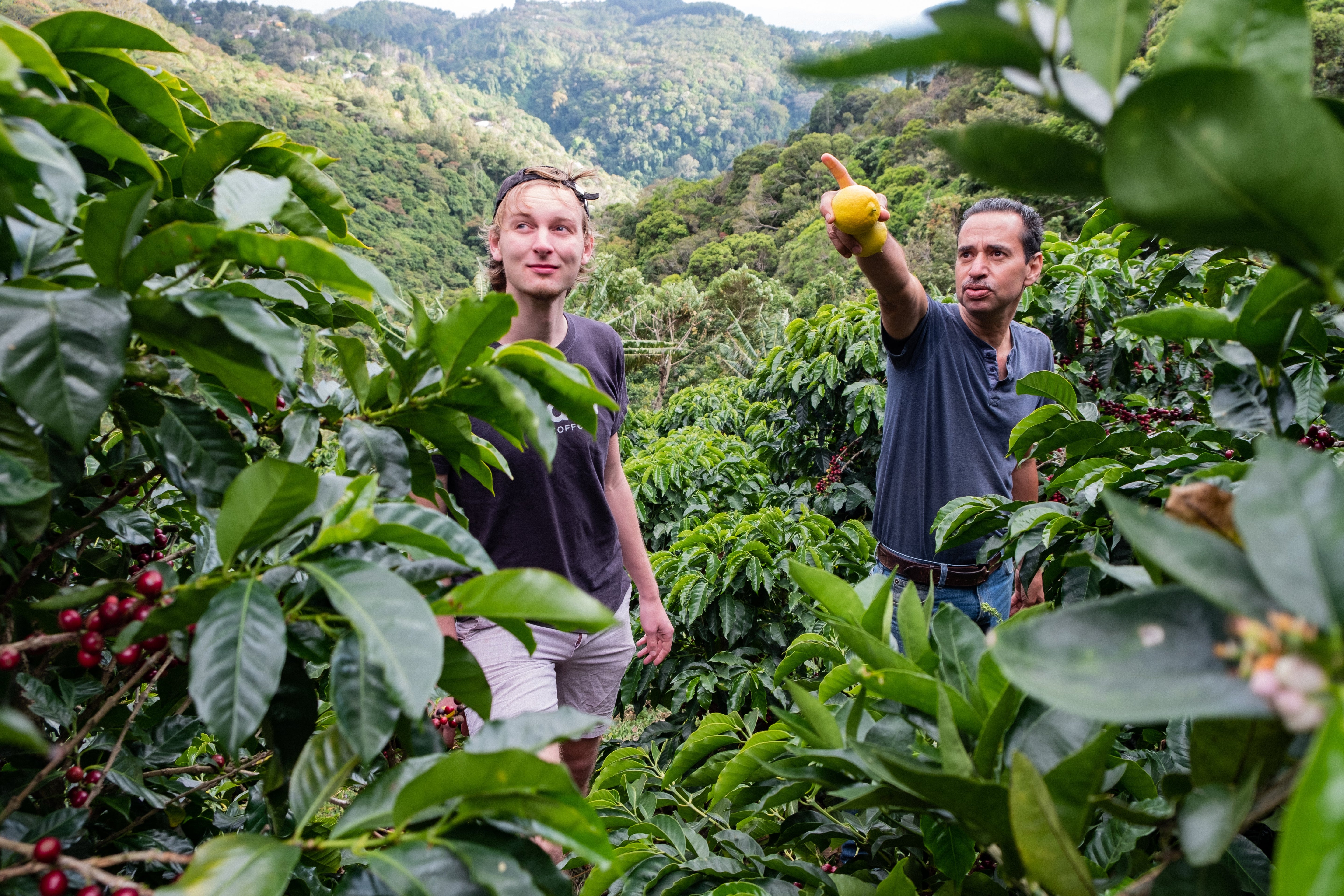 Filter Coffee - Jorge Vásquez - Catuai Natural